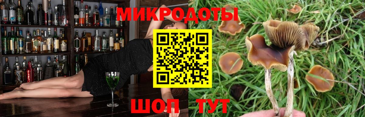 ГАШ Новокубанск