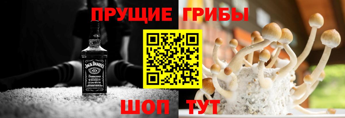 Псилоцибиновые грибы Magic Shrooms Новокубанск