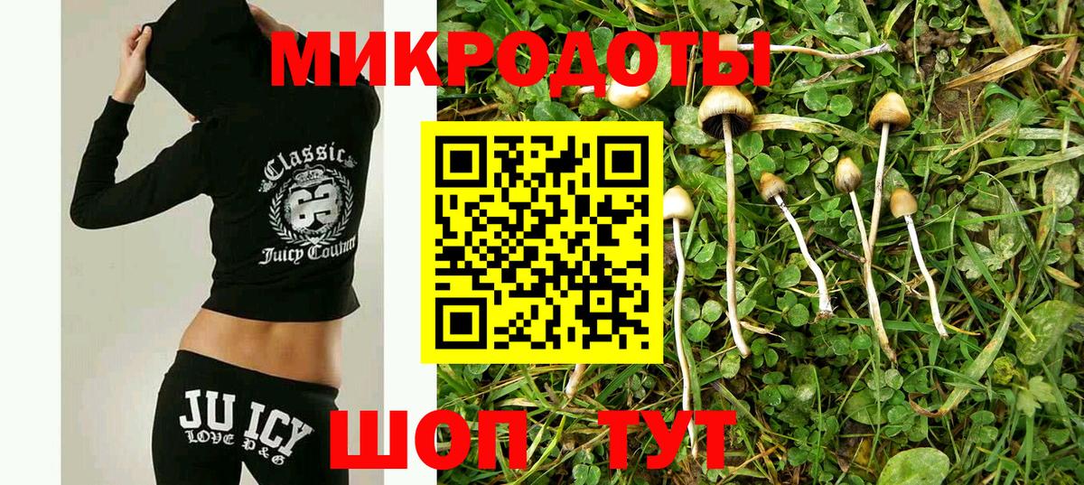 Новокубанск  Псилоцибиновые грибы Psilocybe  Галлюциногенные грибы ЛСД  Вход с VPN 